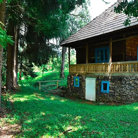 Casa de Campo Casa Visovan Sighetu Marmaţiei